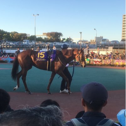 ジェットのアイコン