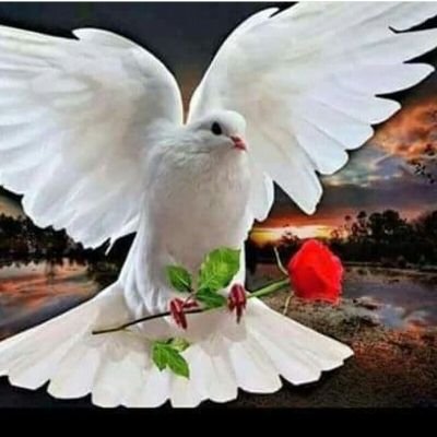 Lebih mengedepankan kasih sayang dari pada kekerasan