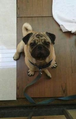 vanshikaa610's profile picture. Believe in miracles, they happen :)