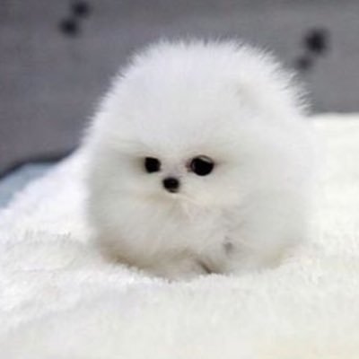 DianneTravs's profile picture. 