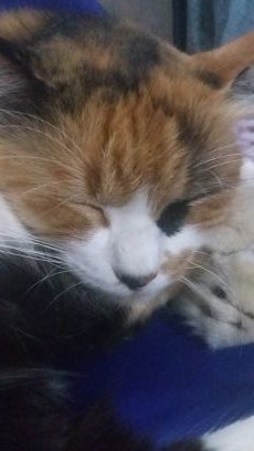 pengajianAm's profile picture. 