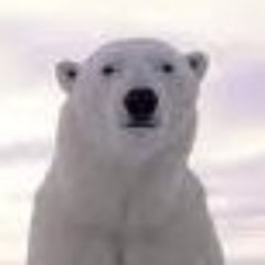 fastbyte97's profile picture. 