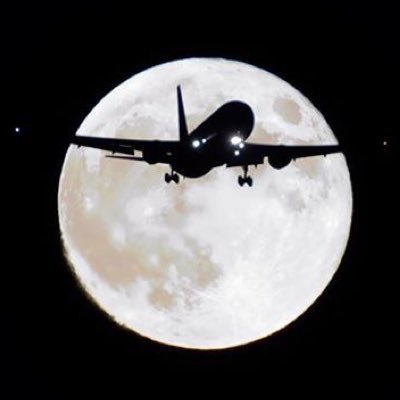 farukas1207's profile picture. All is good that ends well :D♪  1991/12/07