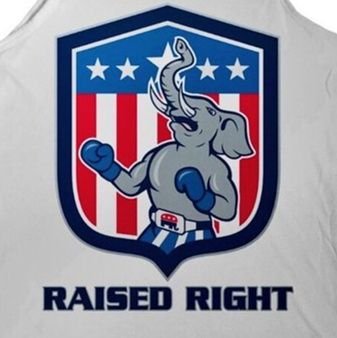 •The Grand Old Party • Make America Great Again•
American Conservatism//SCHS 2nd Glaser
~~Vote Republican~~