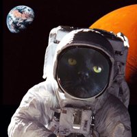 Benson Hillman (@mrbensonthecat) 's Twitter Profile