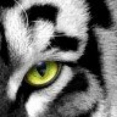 Yaether's profile picture. 