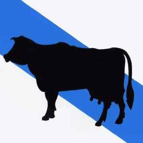 o_xusticiero's profile picture. Amante de Galicia