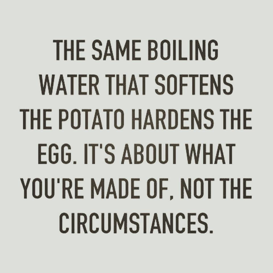 carolgdillon's profile picture. Thankful for God's grace; daughter, wife & mom of Army Vets; Conservative, outdoor enthusiast, rarely cooks edible food! #KAG! on parler, too