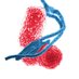MicrobiomeDB (@microbiomedb) Twitter profile photo MicrobiomeDB (@microbiomedb) Twitter profile photo