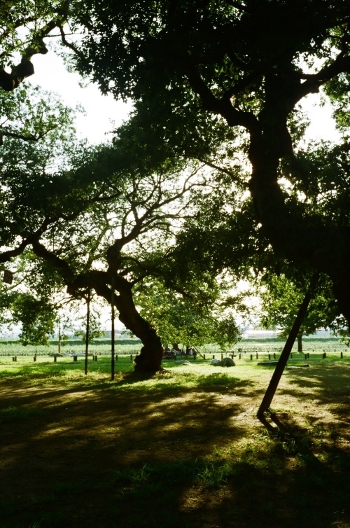 stressbar's profile picture. 📷