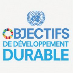 SDGs are hope for our planet. We make advance the humanity from Haiti!
Les ODD = Espoir pour notre planète. Nous faisons avancer l’humanité en Haïti!
#SDG #ODD