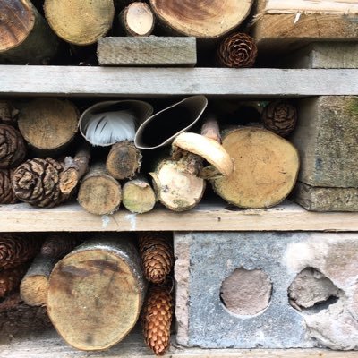 thewildmeadow's profile picture. family| dogs|❤️ adventures| Cultivating neglected field| Dreaming of wild meadow| Cycled #LEJOG 2018 https://t.co/T7fQut6cIM