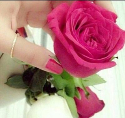 ‏شلونكم شخبارك