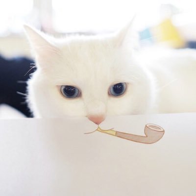 malindiya2's profile picture. 喜欢喵星人，画画，美食，旅游，烘焙