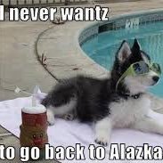 AquaaxReaper's profile picture. 