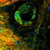 OMM Lab (@omm_lab) Twitter profile photo OMM Lab (@omm_lab) Twitter profile photo