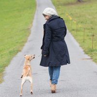 Monika Schubarth (@adibuma) 's Twitter Profile