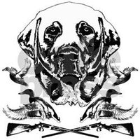 Stephen Muller (@sjmuller200210) 's Twitter Profile Photo