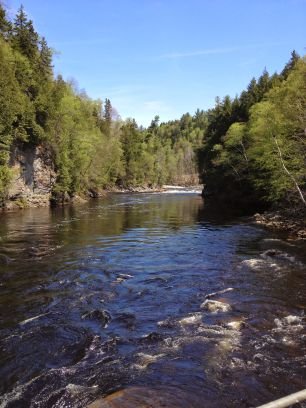 south013's profile picture. Web developer ! #geek #symfony #python !