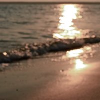 Nooha Saeed (@nooh_a) 's Twitter Profile