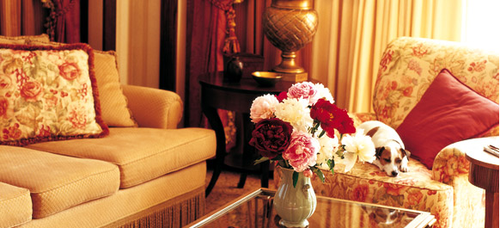 A collection of the worlds leading luxury hotels featured in major In Flight Magazines.