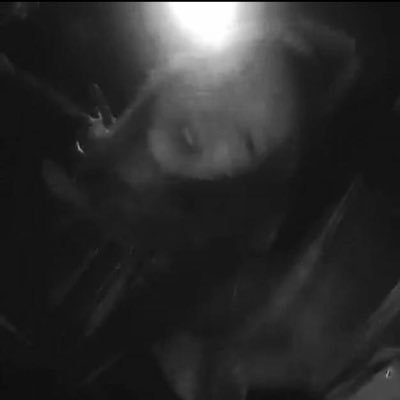 EmilyABarrett's profile picture. 📓🗝🗻