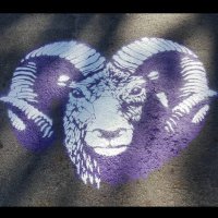 The Mountain (@shsmountain) 's Twitter Profile Photo