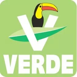 Gestión PVEMCDMX Profile