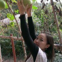 Mindy Mai (@sweepeapod) 's Twitter Profile