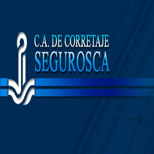CSeguroscaCCS Profile Picture