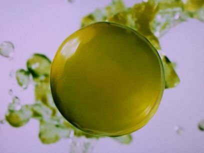 Hiro On Twitter リュート奏者つのだたかしさん出てる リュート