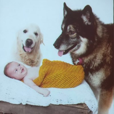 JohnFarndell's profile picture. Owner at Farndell Estate Agents, Golf at Goodwood, pool player.