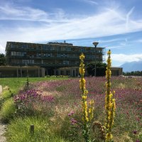 DMF UNIL (@dmf_unil) 's Twitter Profile Photo DMF UNIL (@dmf_unil) 's Twitter Profile Photo