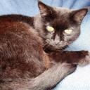 Gus Weber Marr - @GusMarr - Twitter