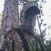 Jon Zimmerman (@boonandcrocket) Twitter profile photo Jon Zimmerman (@boonandcrocket) Twitter profile photo
