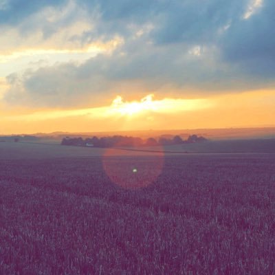 nick_leafe's profile picture. partridge keeper in the south east