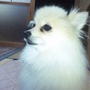 雅 (@009_9002) Twitter