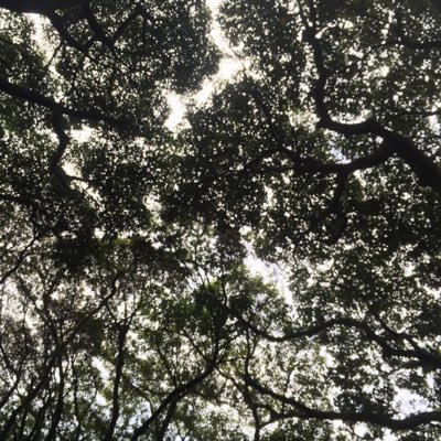 secondpass1's profile picture. 気ままに生きてます