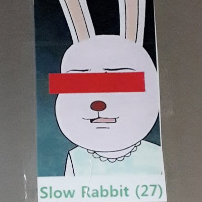 SlowRabbit Profile