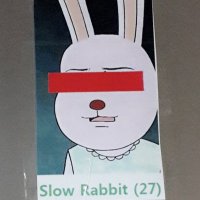 SlowRabbit(@SlowRabbit_no1) 's Twitter Profileg