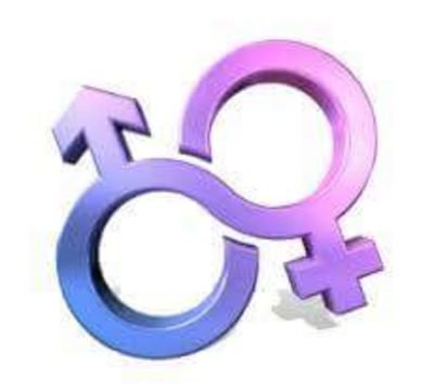 We are a local business that offers Smoking Accessories, Lingerie, Adult Novelties, DVDs and much more