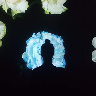 rosie_hollidaze's profile picture. 