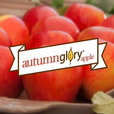 With its sweet, firm flesh and subtle caramel & cinnamon notes, the Autumn Glory® has an intense apple flavor that embodies the essence of a crisp fall harvest!