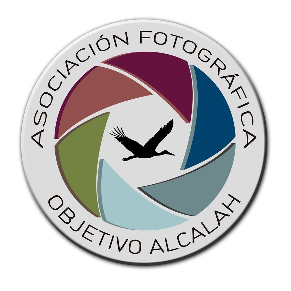 ObjetivoAlcalaH's profile picture. 