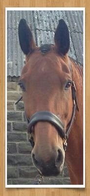 AngelaM71973203's profile picture. 