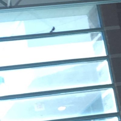 ncbond12's profile picture. 