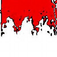 franken (@frankennews) Twitter profile photo