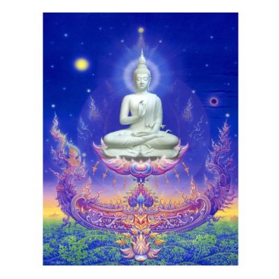 yolandas14051's profile picture. 