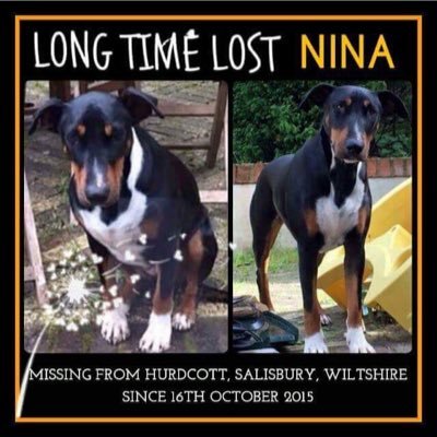 Aunt to Missing NINA & PUP, plz help find them by RTing for them, & my funny little @Nala_Loopsey who I love https://t.co/xYpIz4YydQ