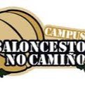 Campus Baloncesto No Camiño, en Sarria, Lugo. XVI Edición del 13 al 20 de Julio 2024. Baloncesto estado puro. https://t.co/9zPGc3HLeG